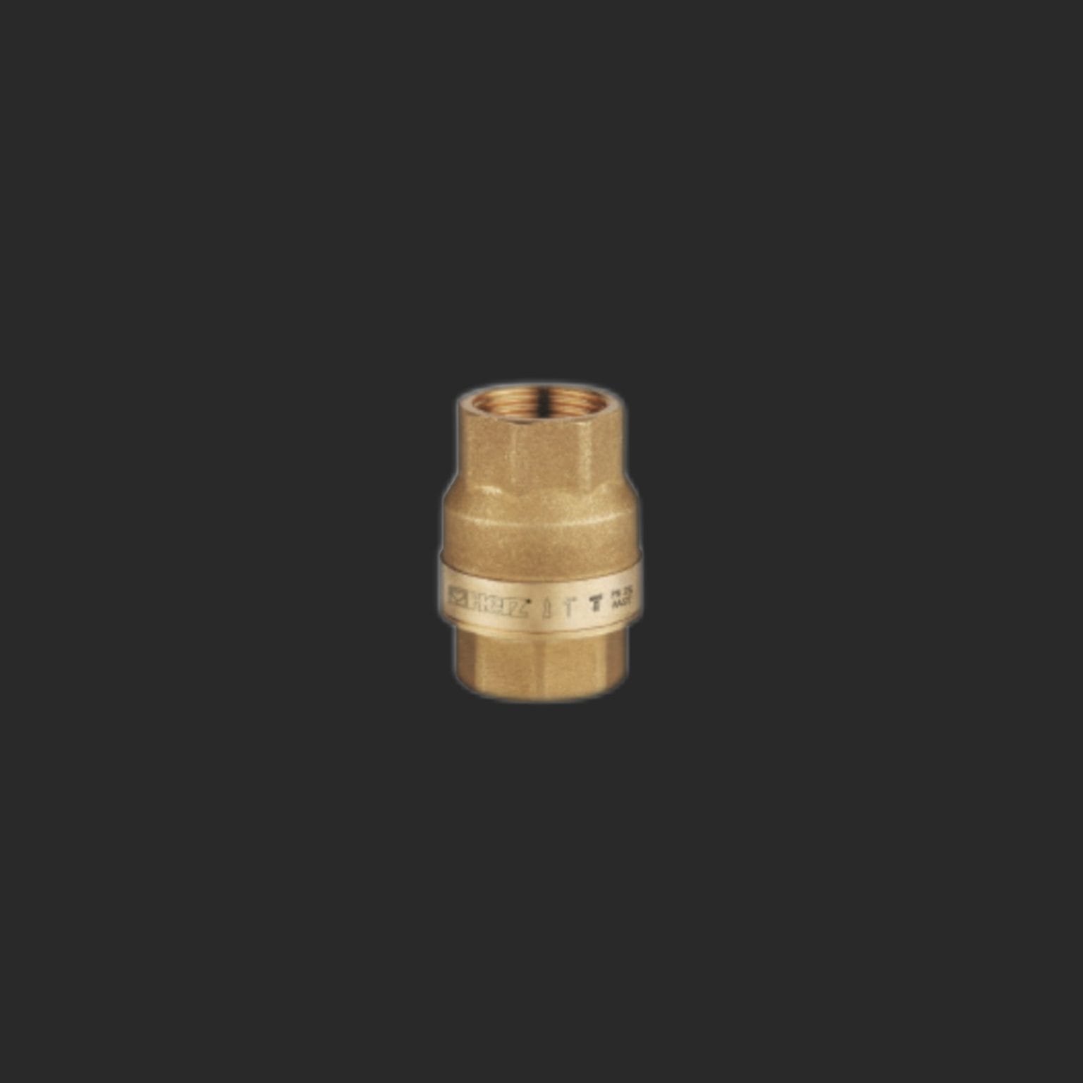 Check valve - Ban integrated